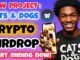 New Crypto Mining Project – Cats&Dogs | Start Mining Cats&Dogs Coin | Join Cats&Dogs Token Mining