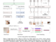 Ovis-1.6: An Open-Source Multimodal Large Language Model (MLLM) Architecture Designed to Structurally Align Visual and Textual Embeddings