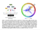 Hierarchical Encoding for mRNA Language Modeling (HELM): A Novel Pre-Training Strategy that Incorporates Codon-Level Hierarchical Structure into Language Model Training