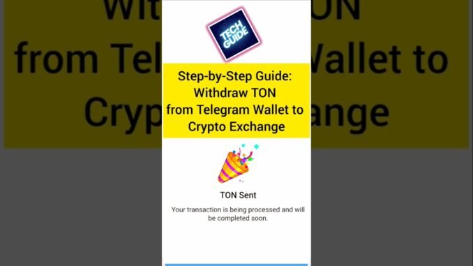Step-by-Step Guide: Withdraw TON from Telegram Wallet to Crypto Exchange.