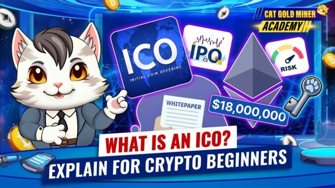 What is an ICO: Explain for Crypto Beginners⚡️CAT GOLD MINER ACADEMY