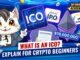 What is an ICO: Explain for Crypto Beginners⚡️CAT GOLD MINER ACADEMY