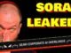 BREAKING: Sora LEAKED to the public!
