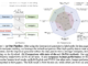 This AI Paper Introduces SRDF: A Self-Refining Data Flywheel for High-Quality Vision-and-Language Navigation Datasets