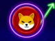 Shiba Inu Price Prediction