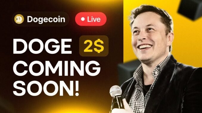 Elon Musk: DOGECOIN BULL RUN READY TO BE CONFIRMED! BTC PRICE PREDICTION