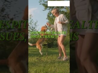 Rapid Revision of the triumph of surgery #10thclass #ai #exmaplesclass10 #alakhsir #news #phonkstudy