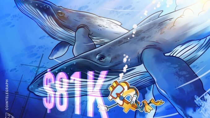 Bitcoin whale accumulation trend mirrors 2020-era bullish activity after BTC Bitcoin whale accumulation trend mirrors 2020-era bullish activity after BTC price bounces off $81K