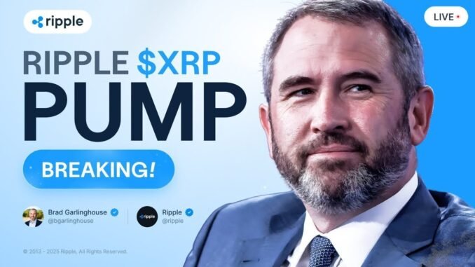 Brad Garlinghouse: Ripple PUMP - Is Bull Run CONFIRMED?! XRP Price Prediction