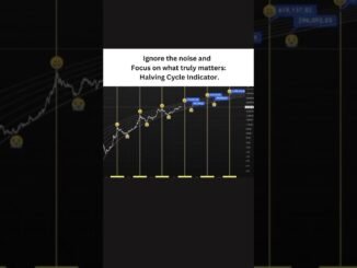 Halving Cycle Indicator #trading #bitcoinbullrun #cryptonews #crypto #bitcoin