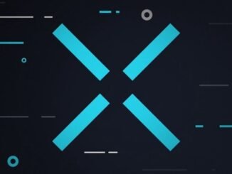 SEC Drops Investigation into Web3 Gaming Firm Immutable