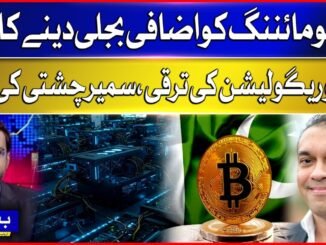 Govt May Allocate Extra Power for Crypto Mining | Samir Chishti on Crypto Regulation Growth