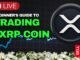 XRP Trading for Beginners (LIVE) - Your First Steps to Crypto Profit