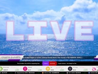 LIVE Crypto & Bitcoin Price, Market News & Influencers | Crypto Pundits