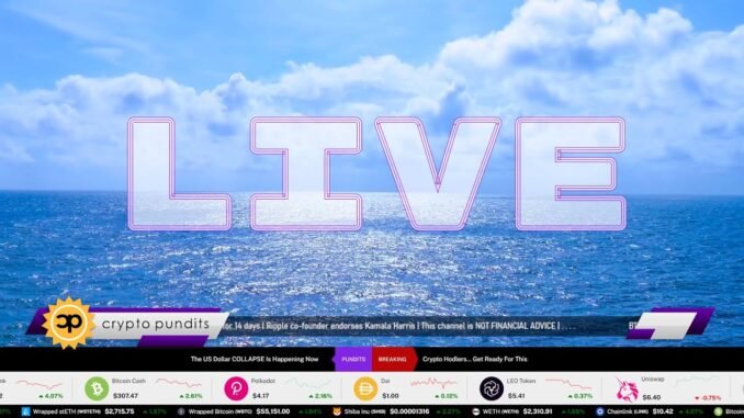 LIVE Crypto & Bitcoin Price, Market News & Influencers | Crypto Pundits