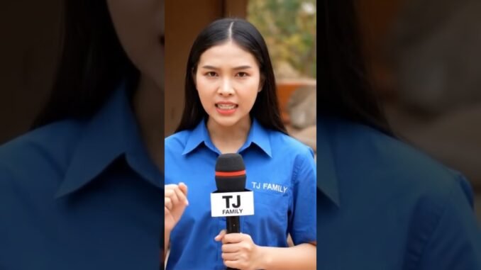 ญาติโยมที่เอามาบริจาคจะรู้สึกยังไง #ai #news #aiดันคลิป