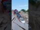 A car carrier got trapped on a collapsing bridge #crash #ai #news #wow #fail #car #truck