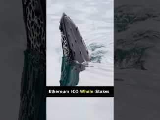 CryptoCast Daily: Latest Crypto News and Stories