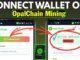 How to Connect Wallet on OpalChain Mining | Metamask , Trust wallet Complete Guide