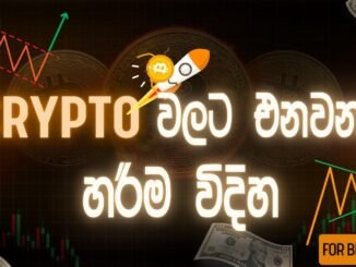 How to Invest and Trade in Cryptocurrencies for Beginners | Crypto Sinhala | Crypto talk hub