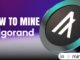 How to Mine Algorand (ALGO) with Unmineable - Easiest Beginner's Guide 2025! | Algorand Mining