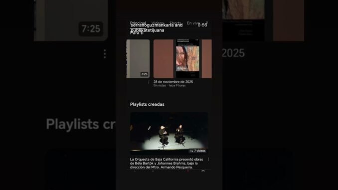 Unas Peke Historias 🥶🙀 #publikatetijuana ⚙️🚧 #ai #news 📓⚔️📕#art #kültür