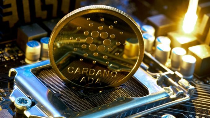 Cardano