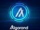 Algorand (ALGO) Reports Stable Growth Amid Market Challenges in November 2025