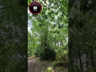 AI News Is A Disaster: The Death of Truth 🤖💀