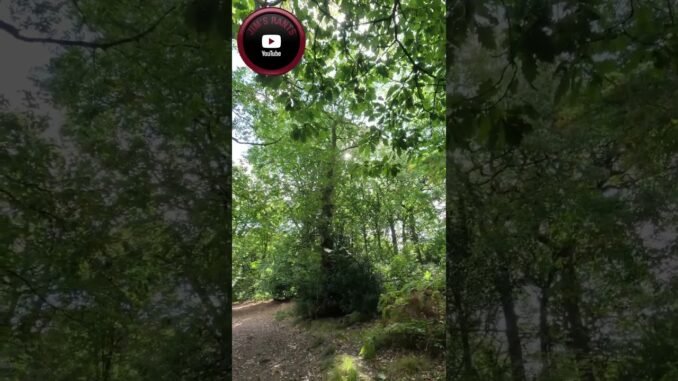 AI News Is A Disaster: The Death of Truth 🤖💀