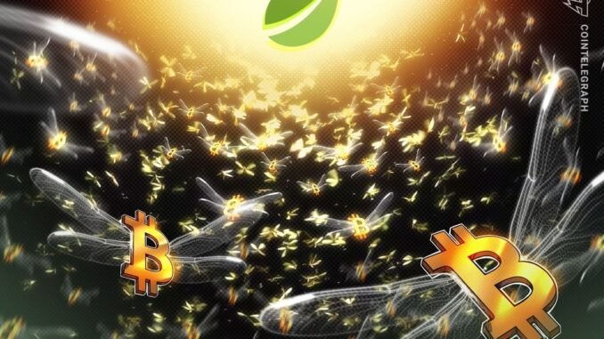 Bitcoin Longs Reach 2-Year High At Bitfinex: Bullish Or Bearish?