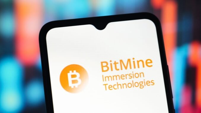 BitMine
