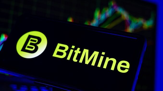 BitMine’s Ethereum Treasury Drops $8B as Ether Falls Below $2,000