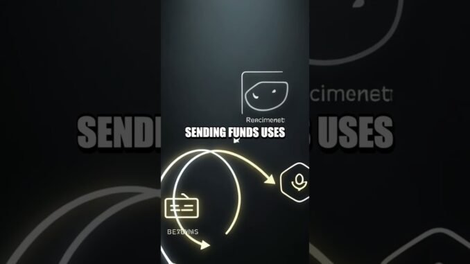 Public Keys vs Addresses Demystified for Beginners