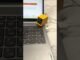 🏠 Apartment Friendly: Jingle Miner CryptoTracker Guide