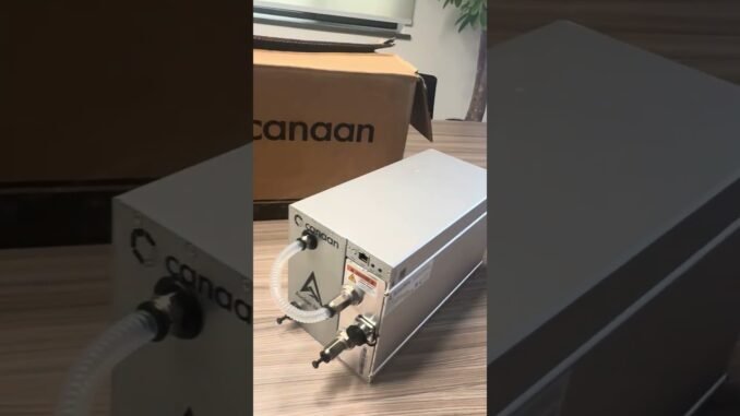 🌐 Ethernet Connection: Canaan Avalon A1566 Network Setup Guide