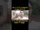 18 + beginner ho or ai ka use nhi Krna jante ko tum bahot badi Aporchunity miss kr doge  #shorts