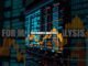 Calm Calculated Crypto: A Modern Investor's Guide 2026