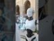 🤖 AI Robot Guides a Pilgrim to Masjid an-Nabawi | Ai Future World 🌍 🕌✨ #ai #aishorts #madina #makkah