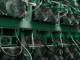 Ethiopia’s Bitcoin Mining Boom Just Ran Into a Water Problem