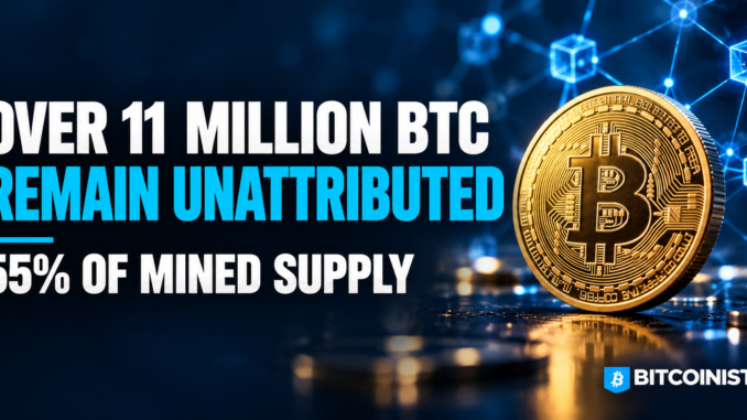 Over 11 Million Bitcoin Remain Unattributed Despite Wall Street Buying